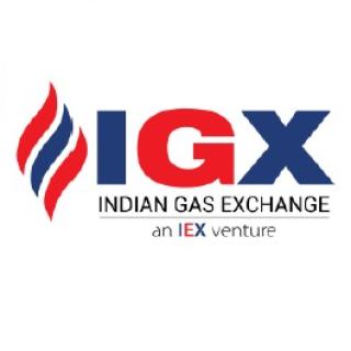 Indian Gas Exchange Limited logo