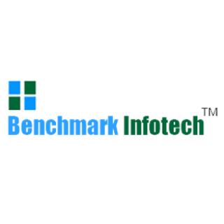 Bench Mark Infotech Services IPO Logo