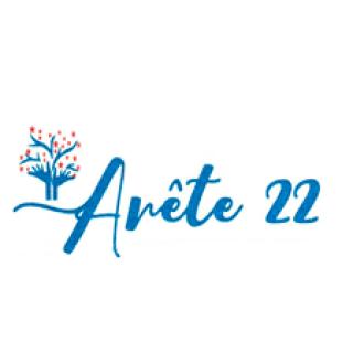Arete 22 Limited logo