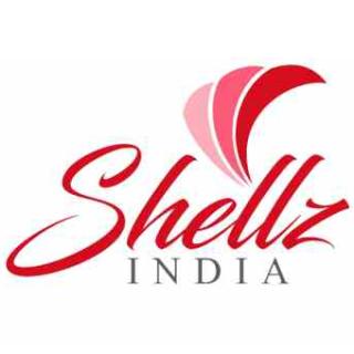 Shellz India Limited logo