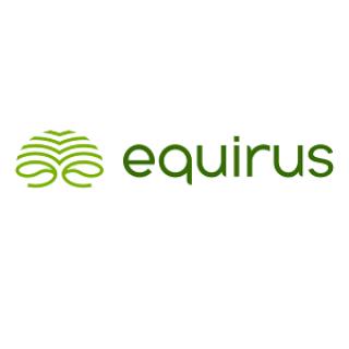 Equirus Capital Limited logo