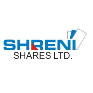 Shreni Shares Limited logo