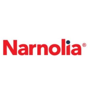 Narnolia Financial Services Ltd logo