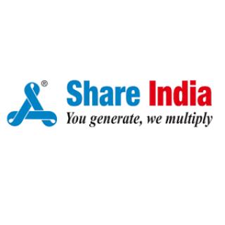 Share India Capital Services Private Limited logo