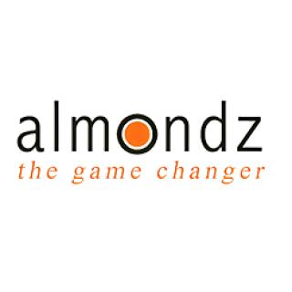 Almondz Financial Services Ltd logo