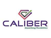 Caliber Mining and Logistics Limited Logo