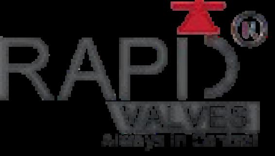 Rappid Valves (India) IPO Logo