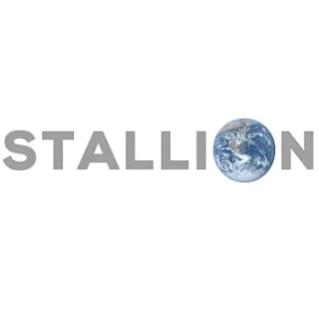 Stallion India IPO Logo